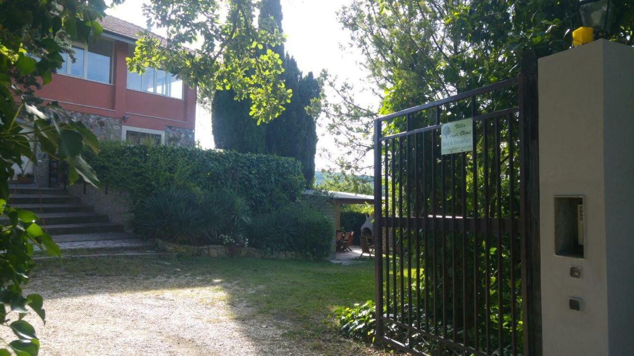 Villa Degli Olmi Allumiere Eksteriør bilde