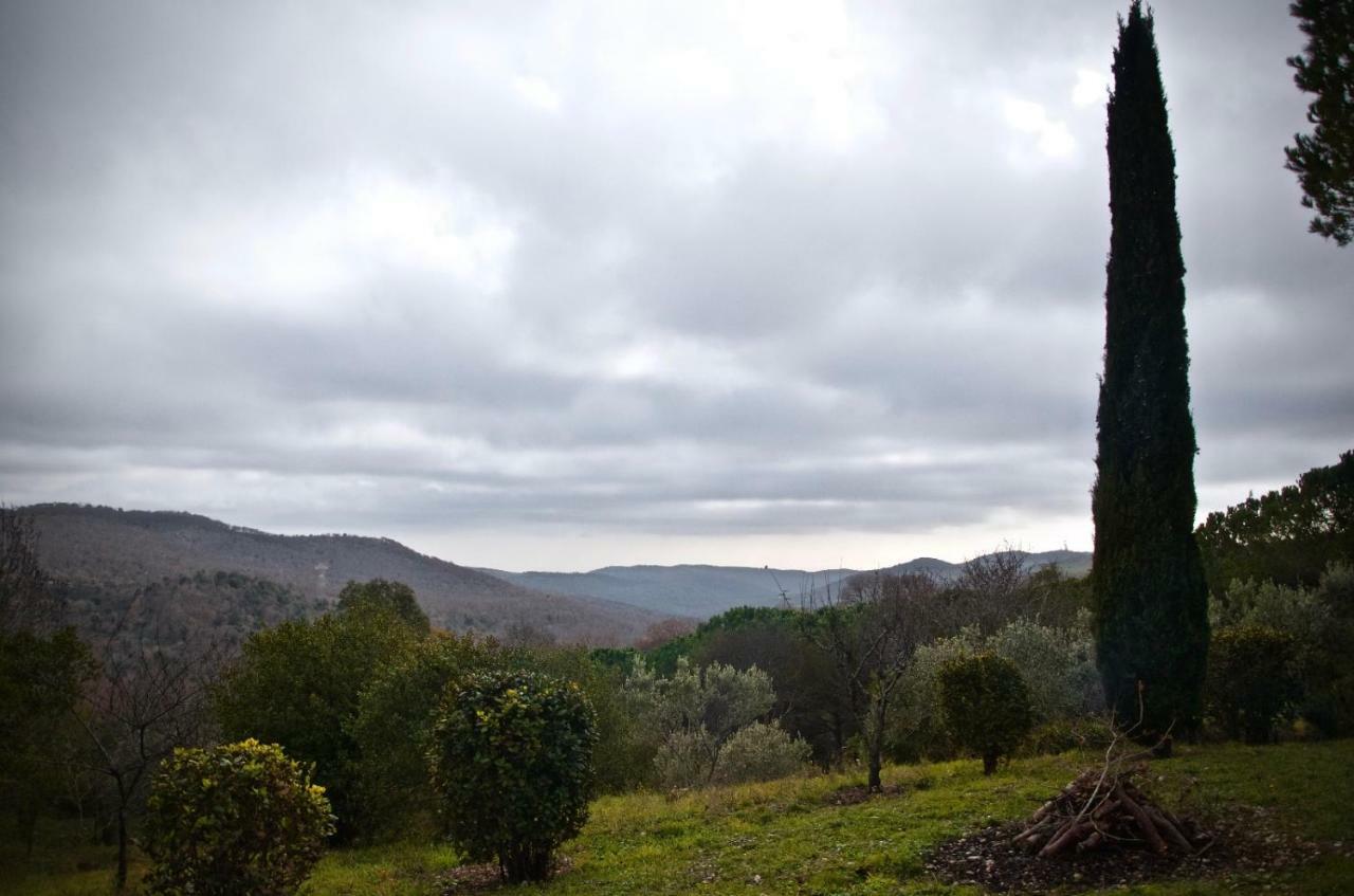 Villa Degli Olmi Allumiere Eksteriør bilde